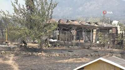 Bilecik’teki orman yangınının bıraktığı üzücü görüntüler