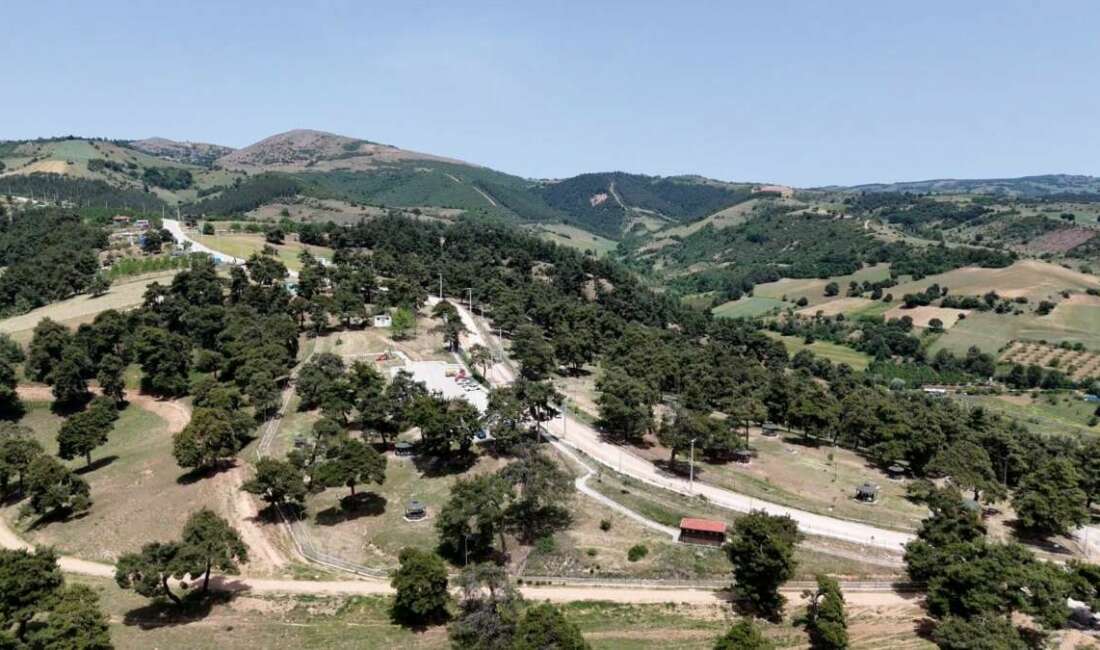 Kozdere Çamlığı, Yenişehir Belediyesi