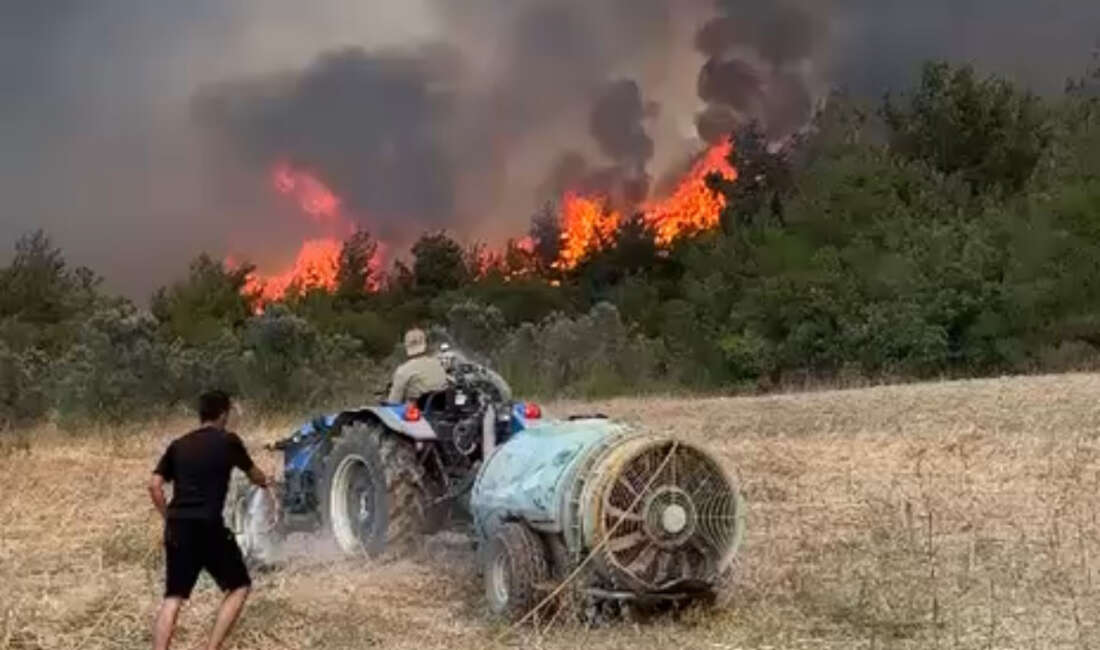 Eskişehir’in Seyitgazi ilçesinde çıkan