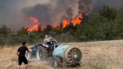 Eskişehir’in Seyitgazi ilçesinde çıkan orman