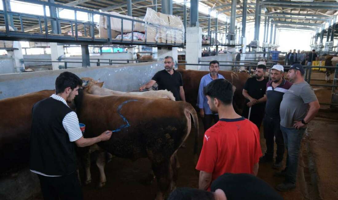 Kurban Bayramı nedeniyle ülke