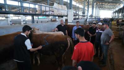 Hayvan pazarları ikinci bir emre kadar kapatıldı