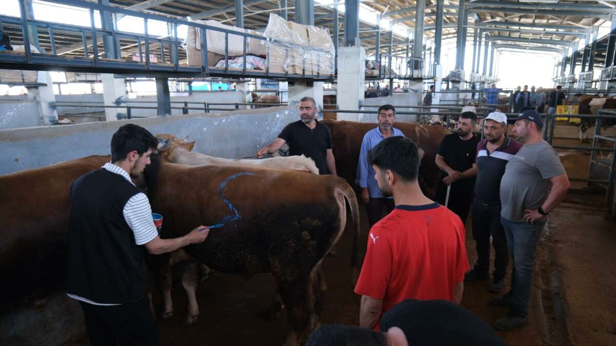 Hayvan pazarları ikinci bir emre kadar kapatıldı
