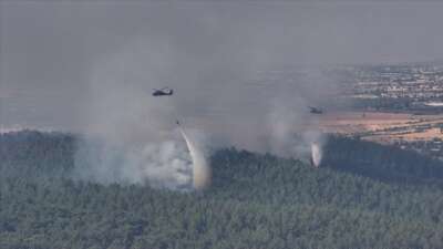 İzmir’in Çeşme ilçesinde çıkan orman