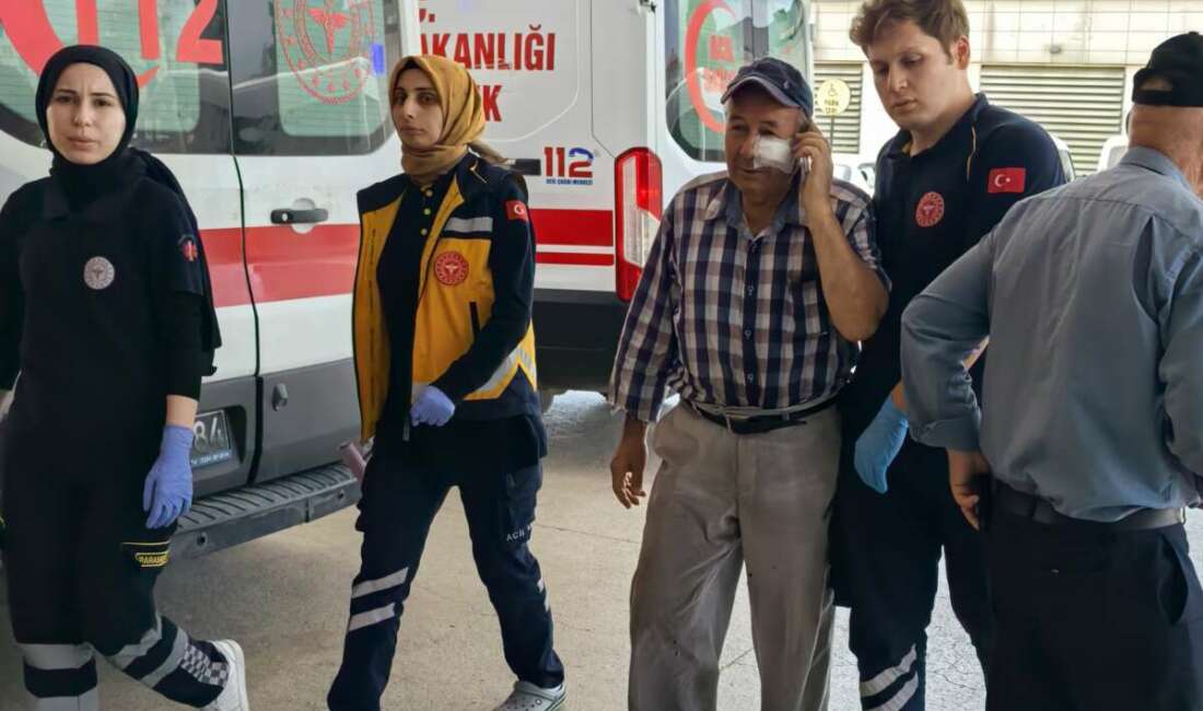 Kendini serinletmeyen bahçıvanı darp etti Bursa'nın İnegöl ilçesinde alkollü
