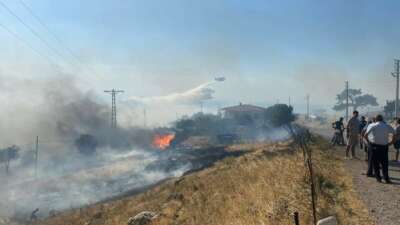 Çanakkale'nin Ayvacık ilçesinde orman yangını