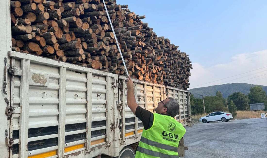 Ormanların korunması ve kaçak