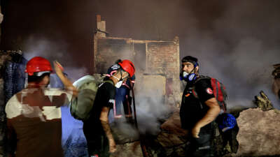 Sakarya'nın Geyve ilçesindeki ormanlık alanda
