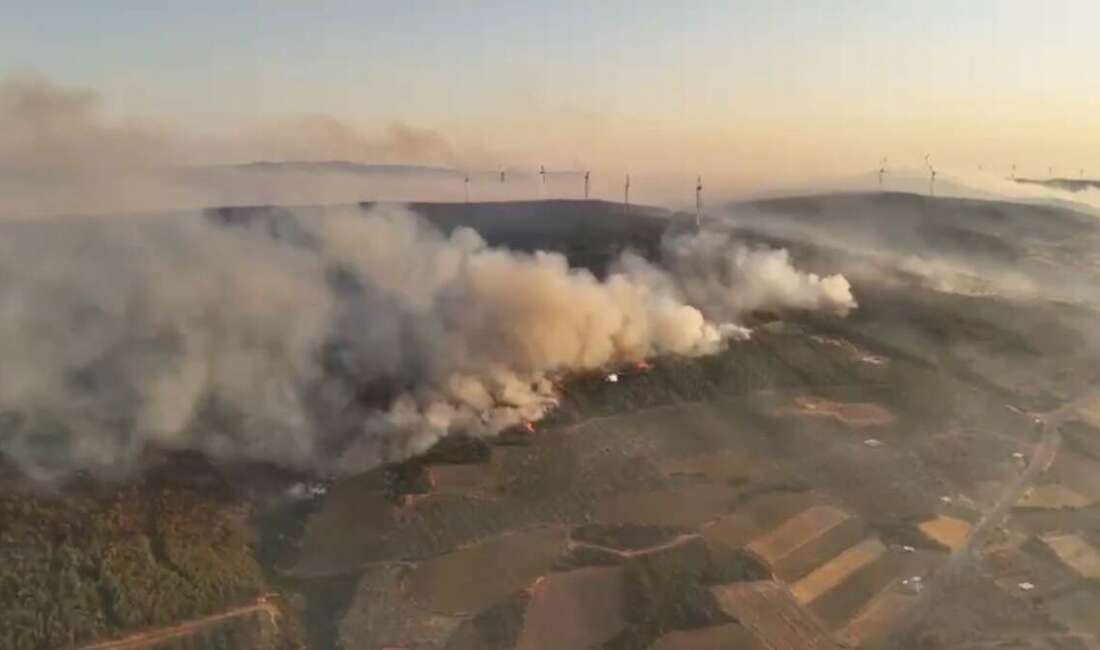 Tekirdağ'ın Şarköy ilçesinde 22