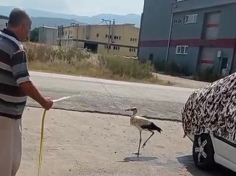 Bursa'nın İnegöl ilçesinde sıcak