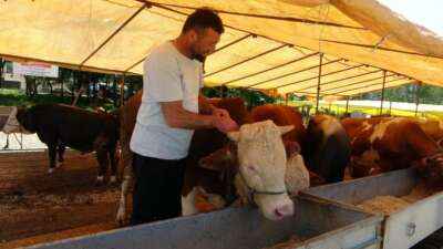 Ülke genelinde tüm hayvan pazarları kapatıldı