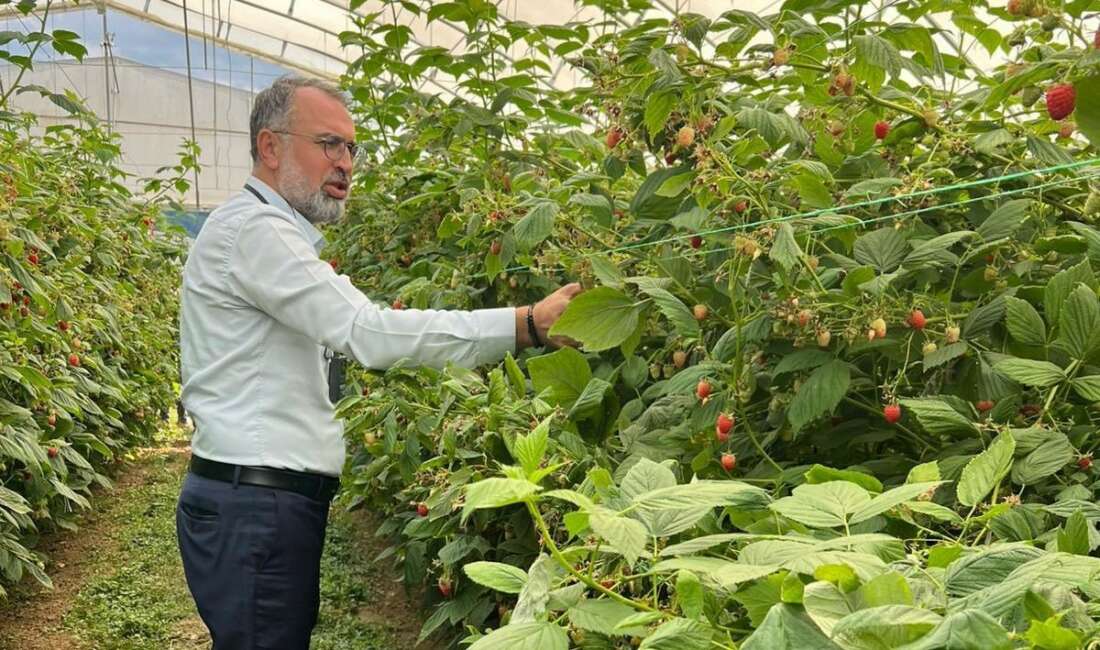 Bursa Ticaret ve Sanayi Odası