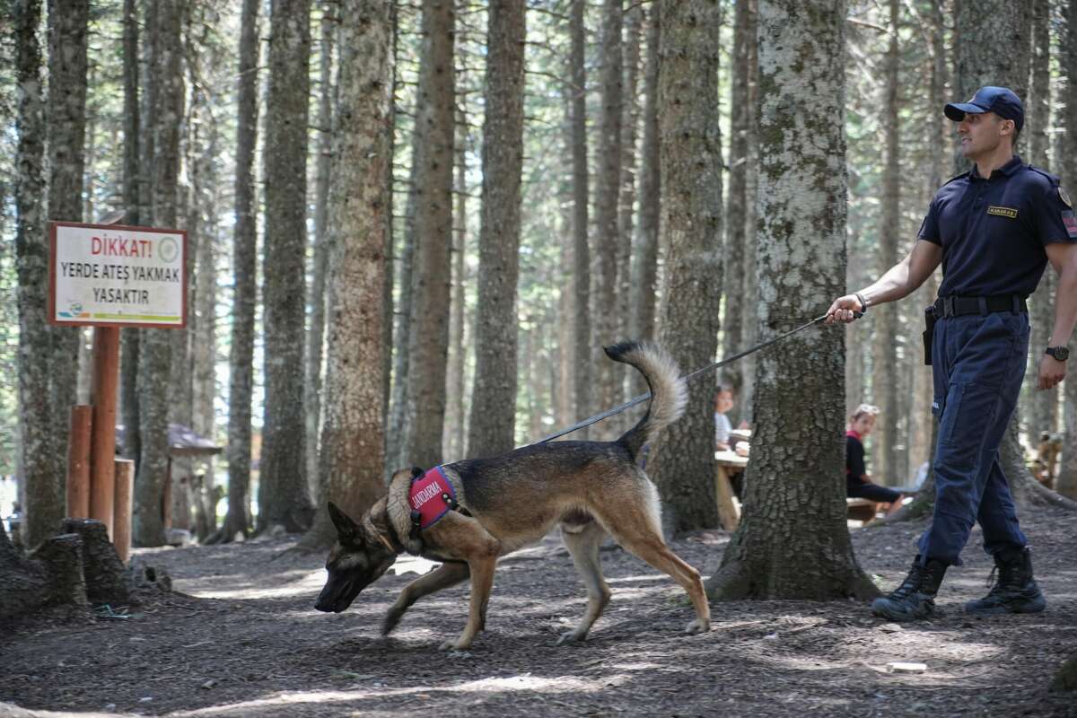 Uludağ’ın ormanlarında jandarmadan 24 saat motorize devriye
