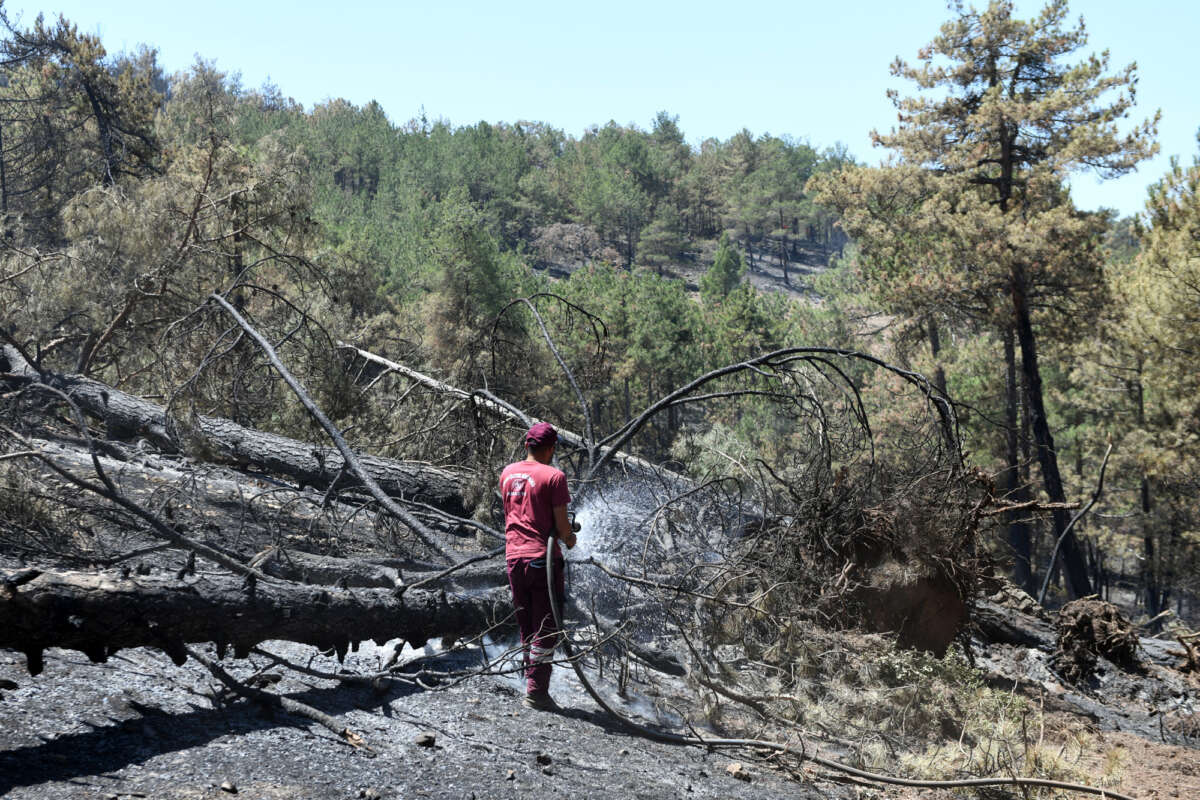Yangına karşı OSAD’dan hızlı ve koordineli müdahale