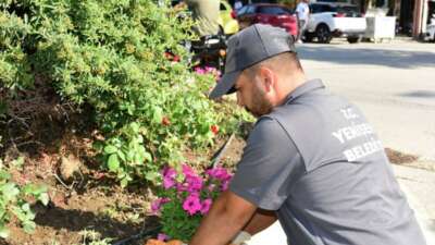 Yenişehir’in kalbi çiçek açtı