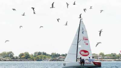 13. TAYK-Eker Olympos Regatta Yelken Festivali’nde genç yelkenciler kıyasıya mücadele verdi