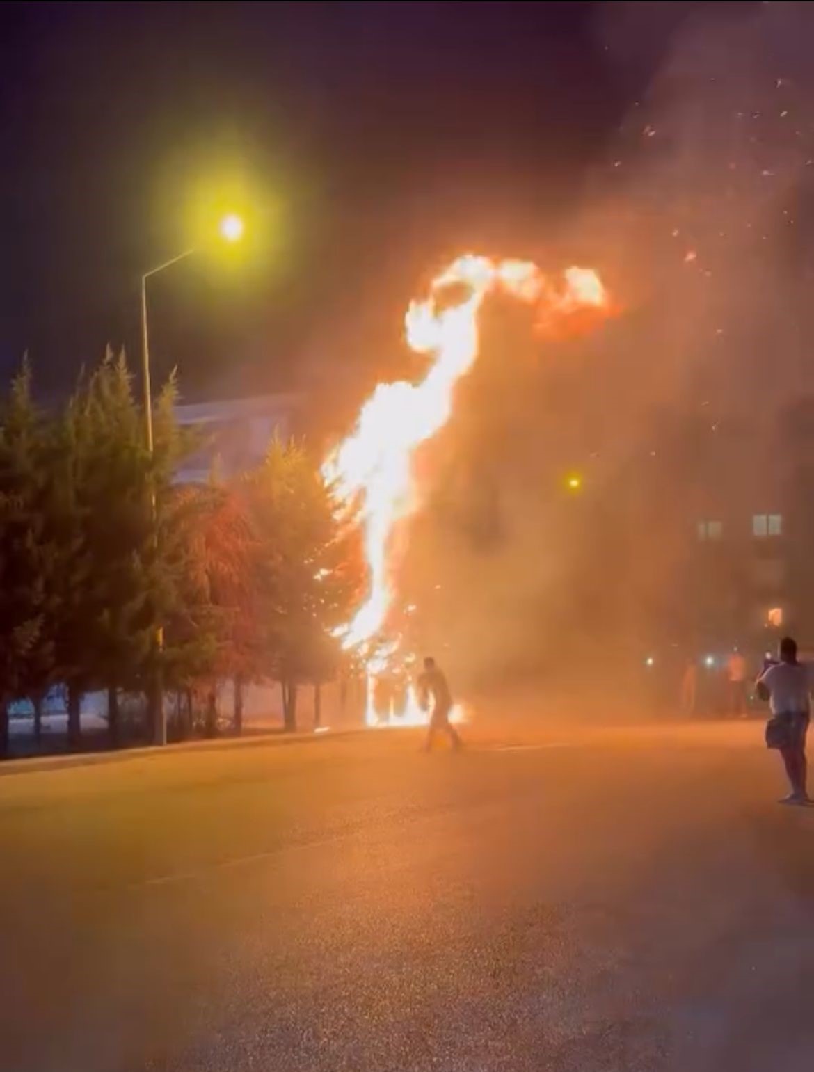 Çocukların torpille oyunu ağaçlık alanı tutuşturdu: Çok sayıda ağaç küle döndü