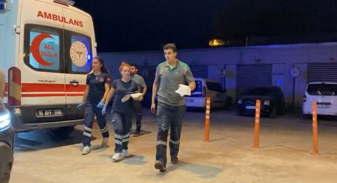 Bursa'nın İnegöl ilçesinde orman