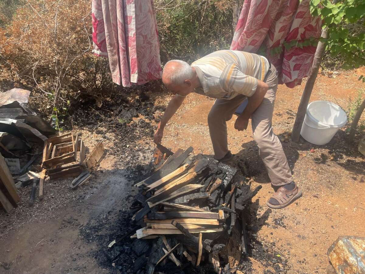 Bursa’daki yangında 300 kovan arı telef oldu