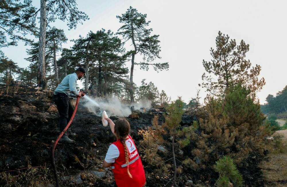 Türk Kızılay, orman yangınlarına