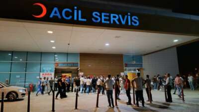 Bursa'nın İnegöl ilçesinde patates tarlasında