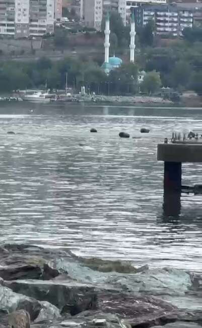 Bursa'nın Gemlik ilçesinde Karsak