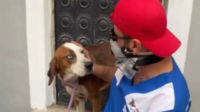 Yangından kurtarılan ‘Bıdık’ Emekli Hayvanlar Çiftliği’ne sığındı