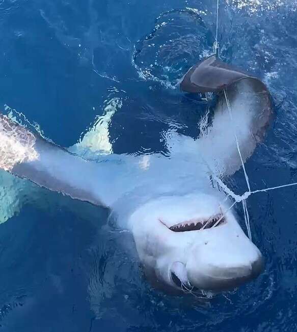 Çanakkale'nin Gökçeada ilçesinde, geçtiğimiz