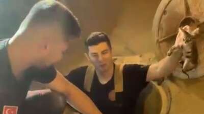 Kanalizasyonda mahsur kalan kedi böyle kurtarıldı