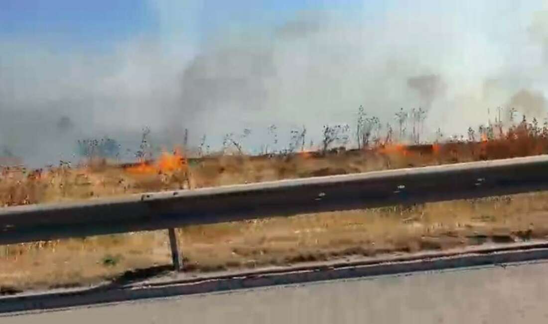 Bursa-İzmir-İstanbul otoyolu kenarındaki otluk