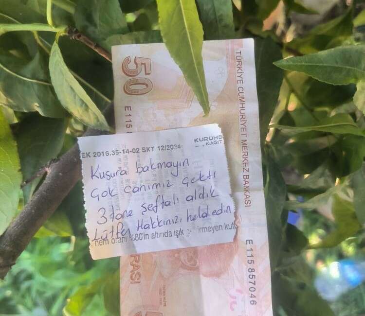 Bursa'da bir hareket "insanlık