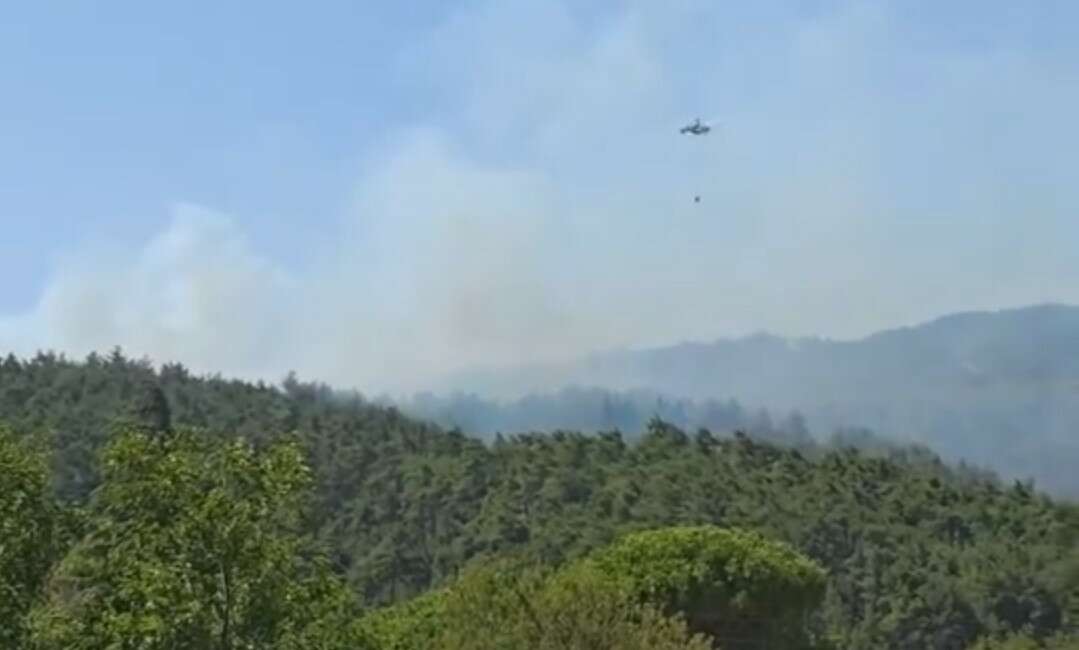 Çanakkale'nin Gelibolu ilçesinde çıkan