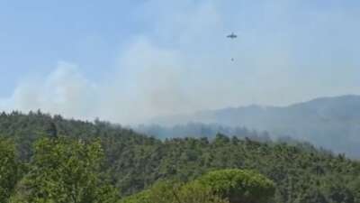 Çanakkale'nin Gelibolu ilçesinde çıkan orman