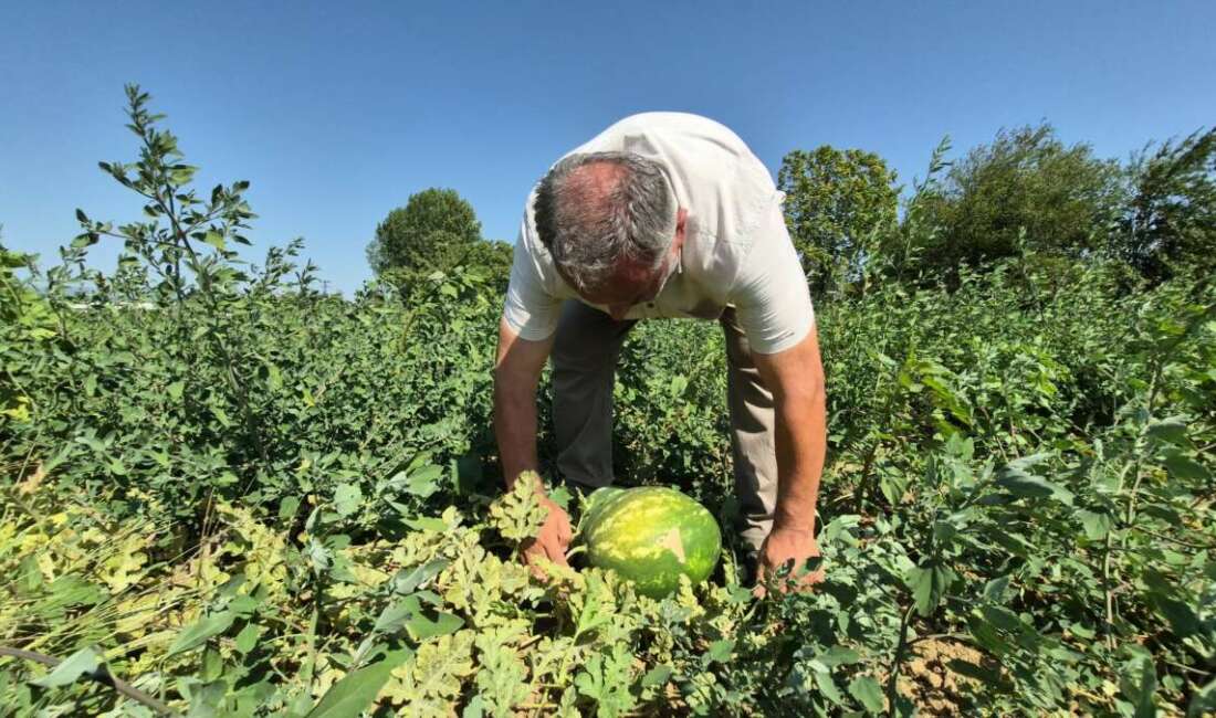 Düzce'de hayata geçirilen "Düz-Tar"