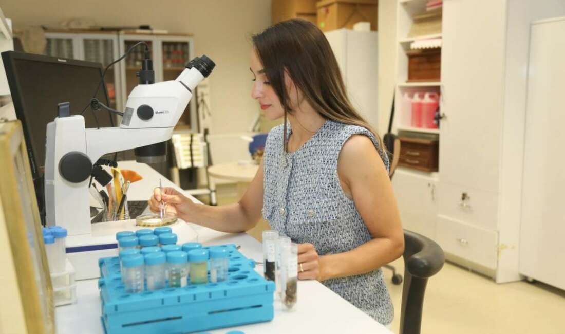 Bursa Teknik Üniversitesi akademisyenleri, Karacabey