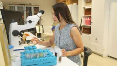 BTÜ Karacabey’in nadir böcek türlerini kayıt altına alacak