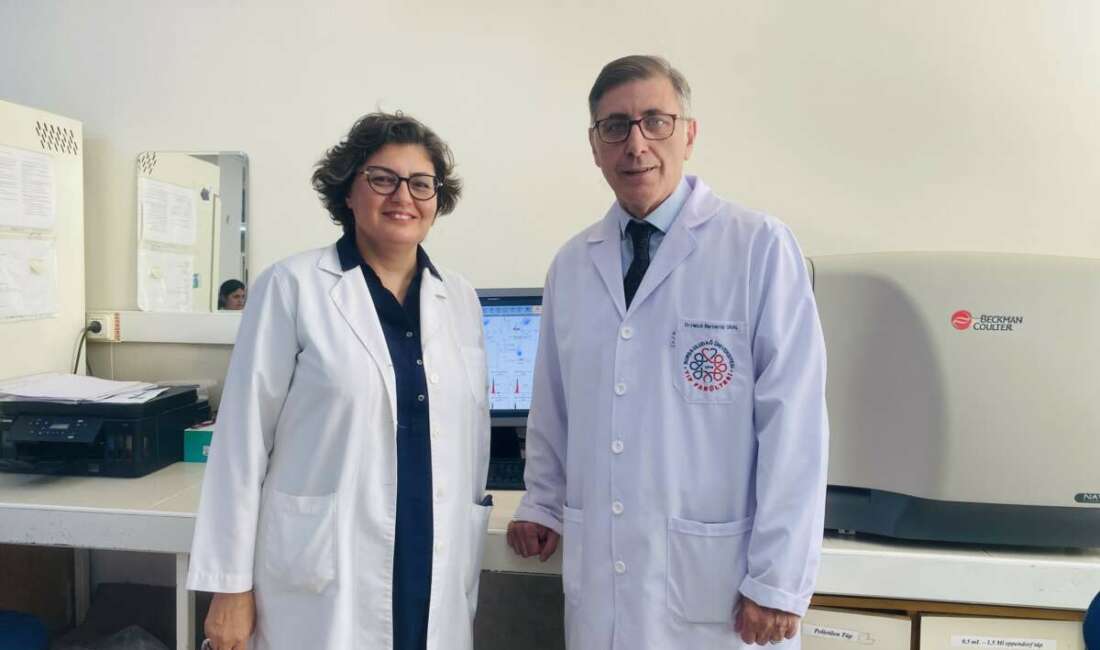 Bursa Uludağ Üniversitesi (BUÜ) akademisyenlerinin