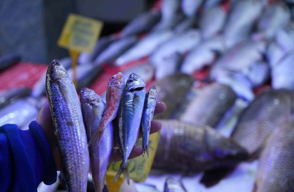 Tarım ve Orman Bakanlığı