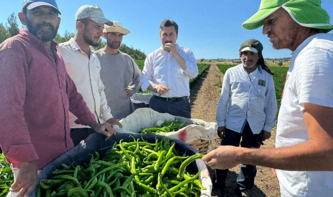 Başkan Özel, tarım işçilerini tarlada ziyaret etti Yenişehir Belediye Başkanı Ercan