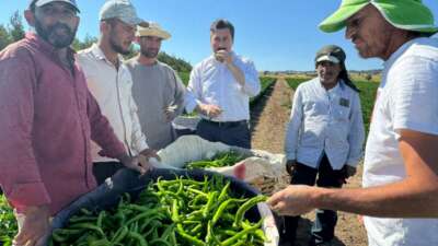 Başkan Özel, tarım işçilerini tarlada ziyaret etti