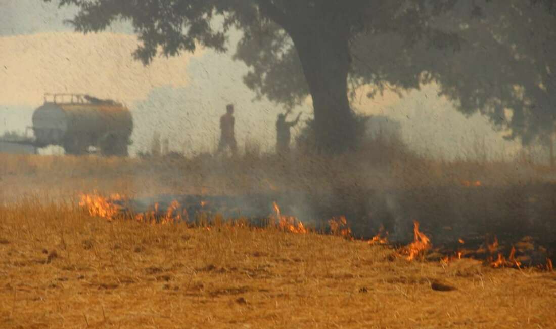Çanakkale'nin merkez ilçesinde yangın
