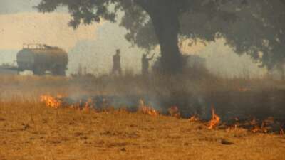 Çanakkale'nin merkez ilçesinde yangın devam