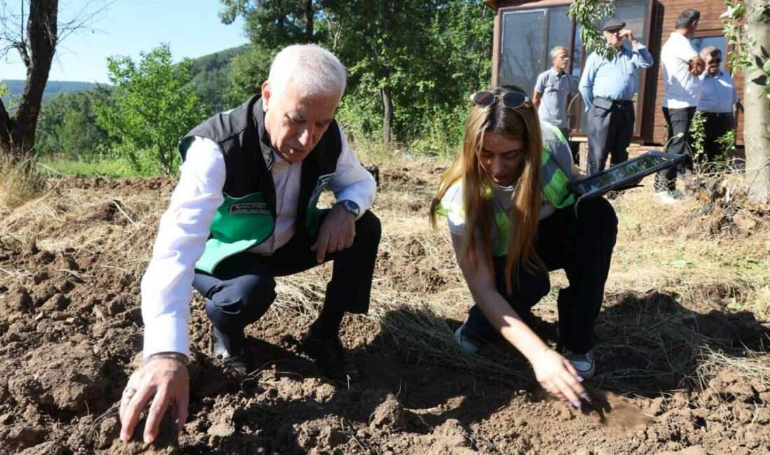 Bursa Büyükşehir Belediyesi, tarımsal