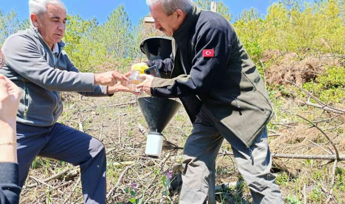 Bursa Orman Bölge Müdürlüğü,
