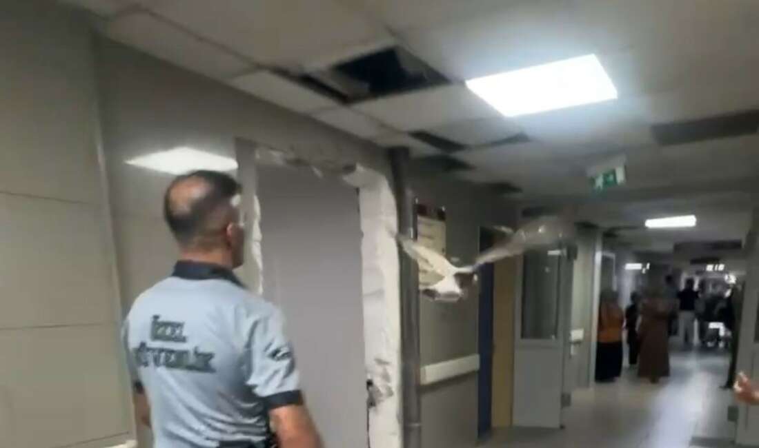 Bursa’da bir martı acile uçarak girdi Bursa'da bu kez "kanatlı"