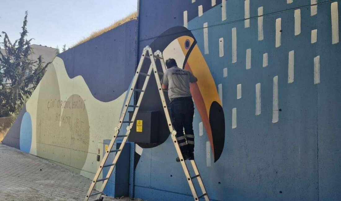 Bursa'da görüntü kirliliğine yol