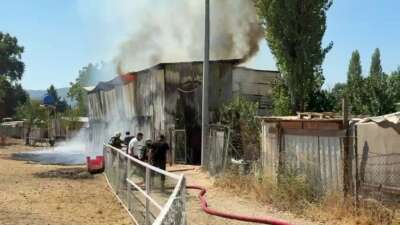  Bursa’nın Nilüfer ilçesinde bir çiftliğin