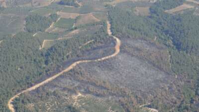 Bursa’da yanan alanlar hızla yeşillendirilecek