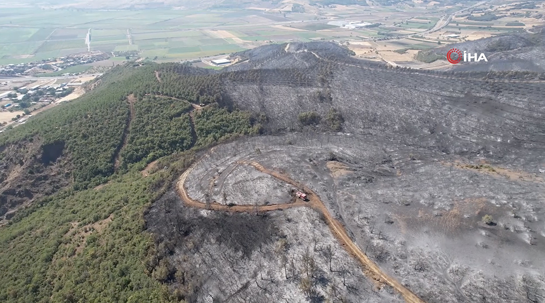 Bursa’da yanan ormandan geriye gri görüntü kaldı