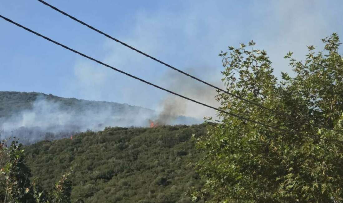 Bursa’daki orman yangını kontrol altına alındı Bursa'nın Orhangazi ilçesi Gedelek
